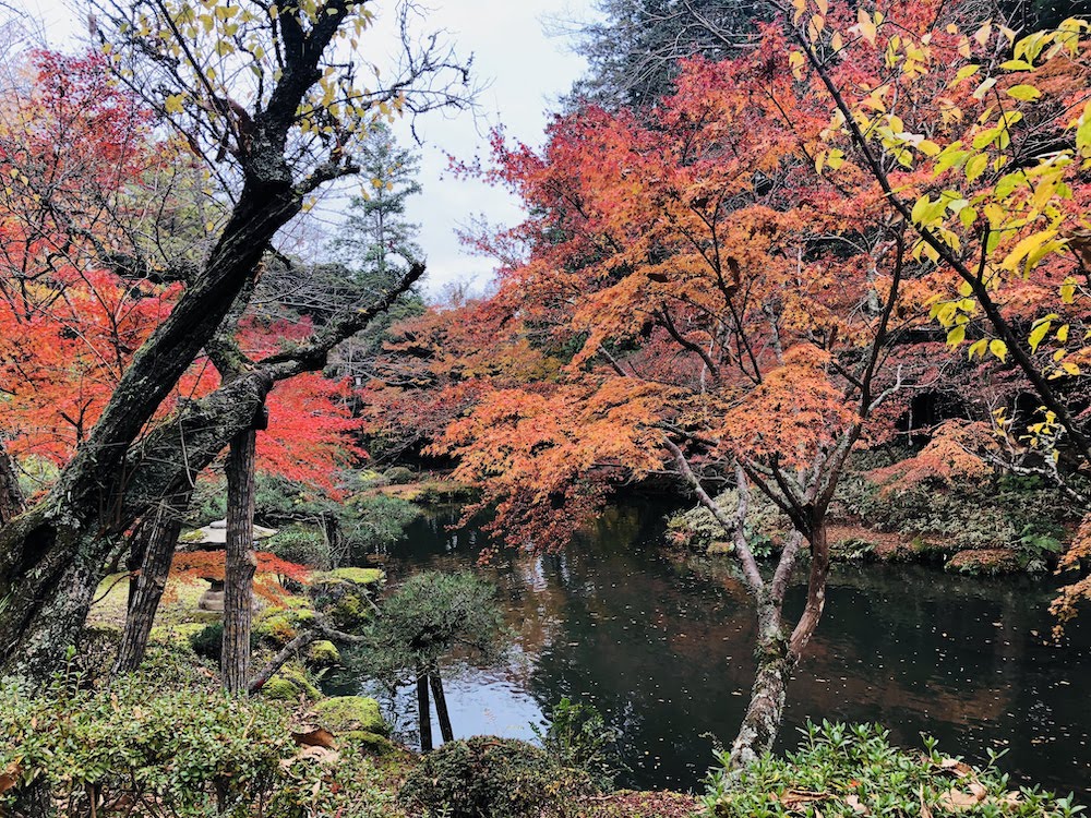 成田山の紅葉
